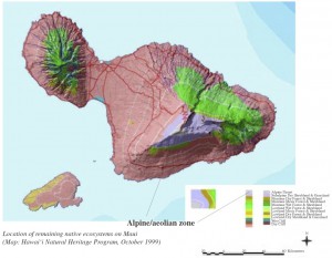 Alpine Aeolian zone