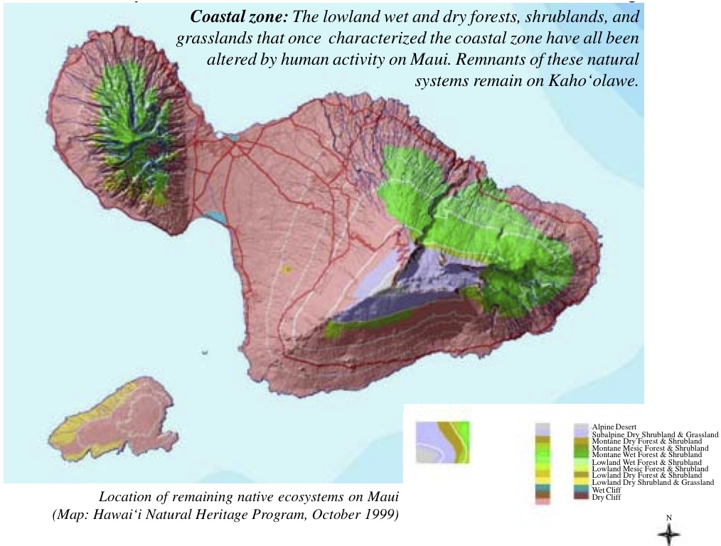 Coastal map Maui