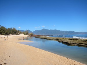 tide pool