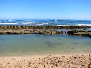 tide pool