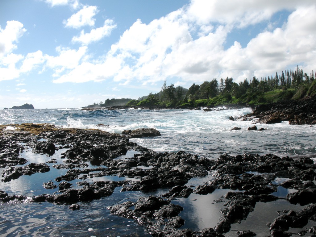 Hawaiian coast