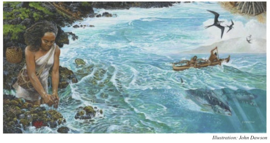 coastal illustration