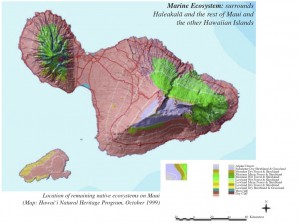 Marine Map Maui