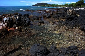 tidal coastline