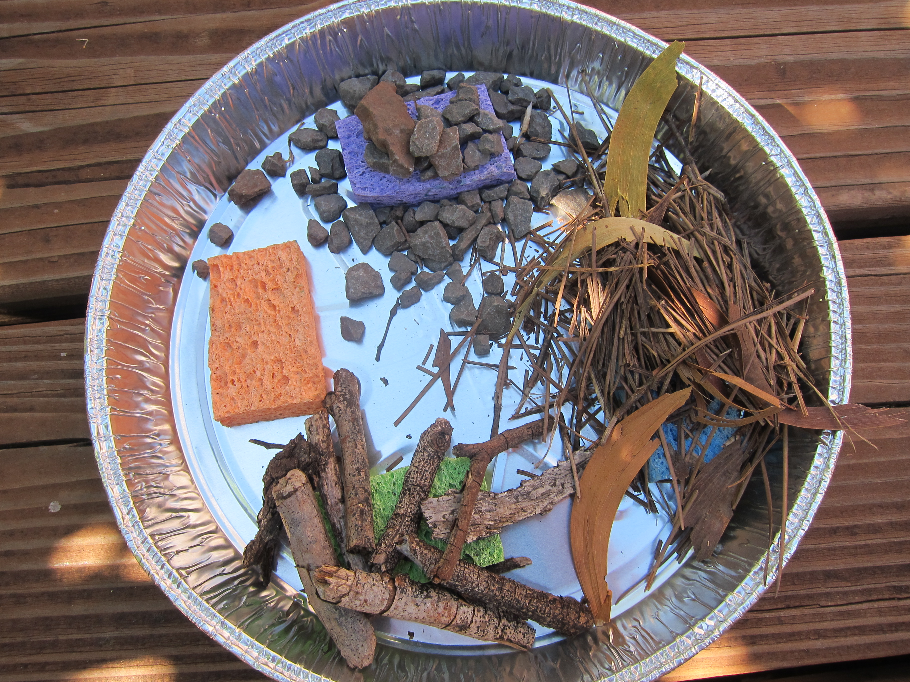 sticks, leaves, and rocks in a pie tin