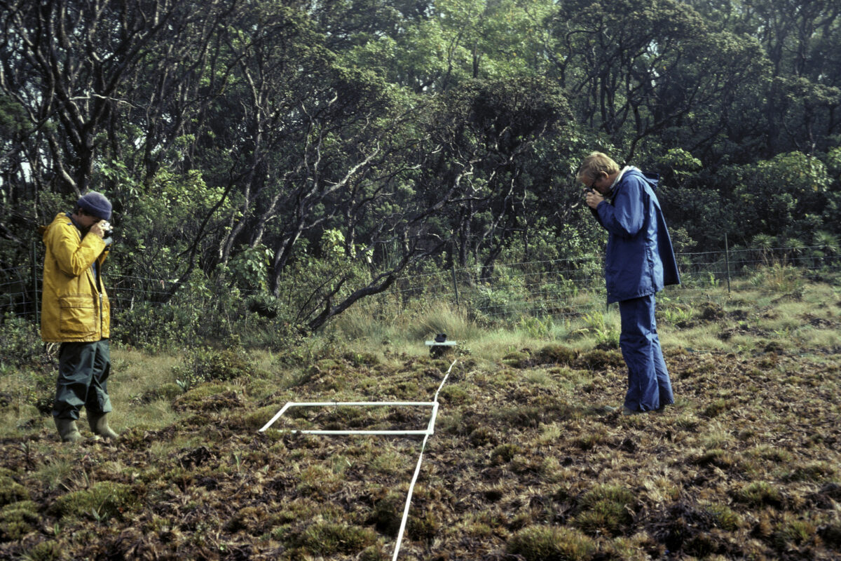 Art Medeiros & Lloyd Loope monitoring bog