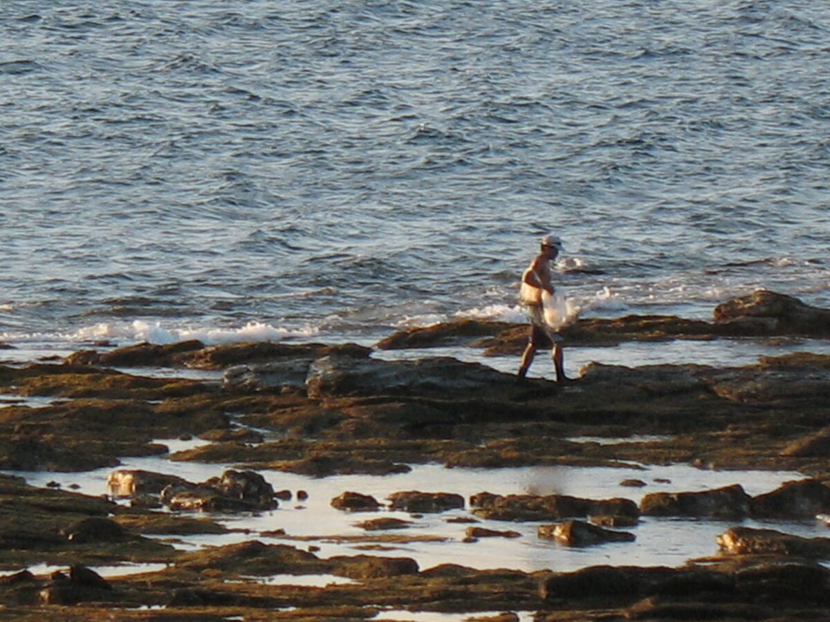 man with fishing net on coastline