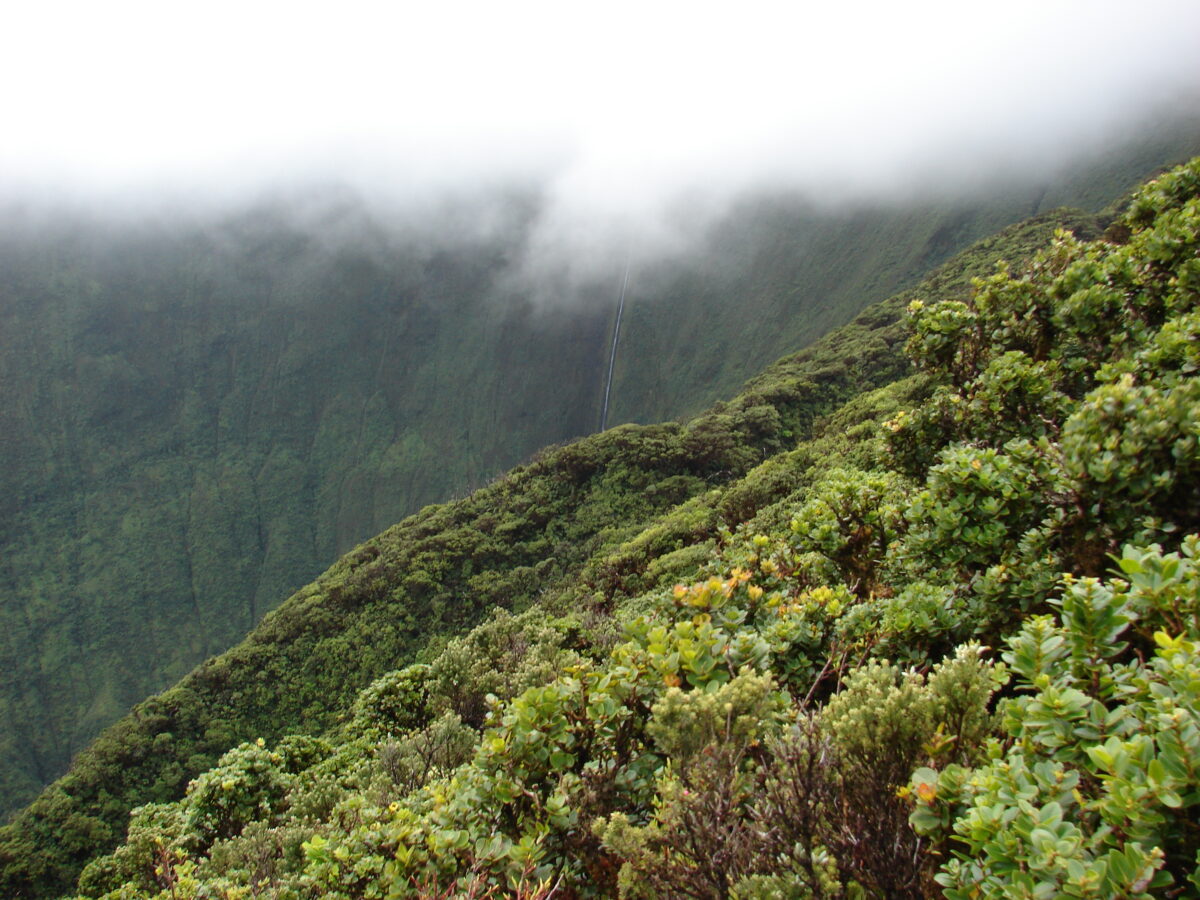 Pu'u Kukui waterfall