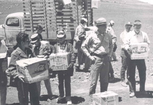 Boy Scouts return the native Hawaiian goose to Haleakala in 1962